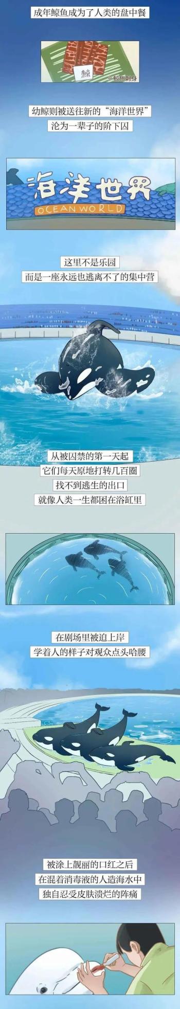 为什么说尽量别带孩子去海洋馆？看了后才恍然大悟  -图6