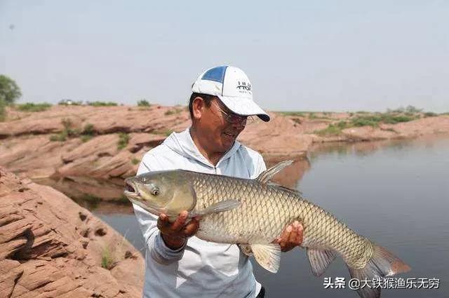 实战干货，摸索多年的2种草鱼新钓法，上鱼太快，用一次就上瘾！  -图1