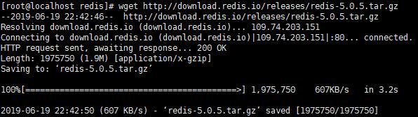 记一次 Centos7.2 安装单机版 Redis 5.0 （编译安装）  -图1