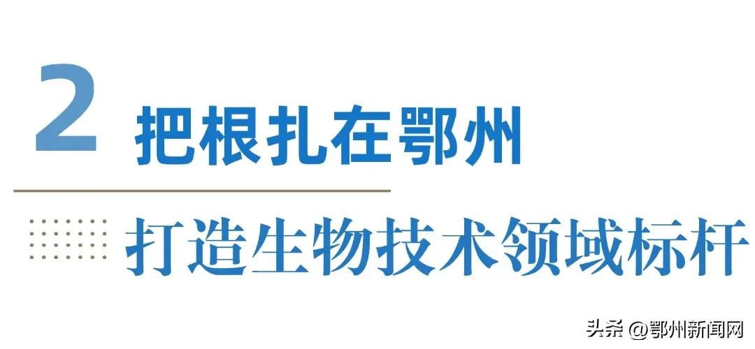 小小微球，补齐鄂州生物医药产业链关键一环  -图5