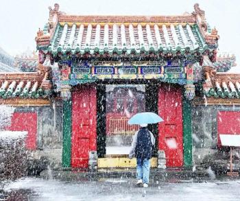 中到大雪，局部有暴雪！沈阳市安委会发布安全提示！  -图1