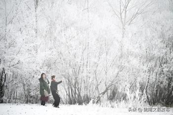 今日小雪！  -图5