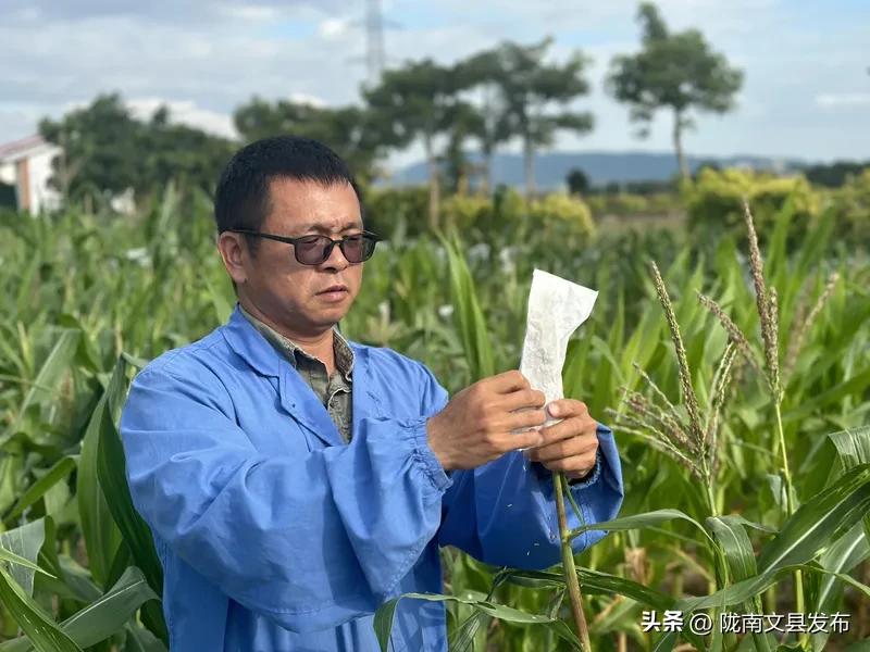 “太空种子”，将在三亚播种！  -图2