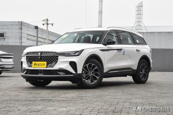 新车 | 售35.98万元/2.5升中型SUV 雷克萨斯NX十周年特别限量版到店  -图20