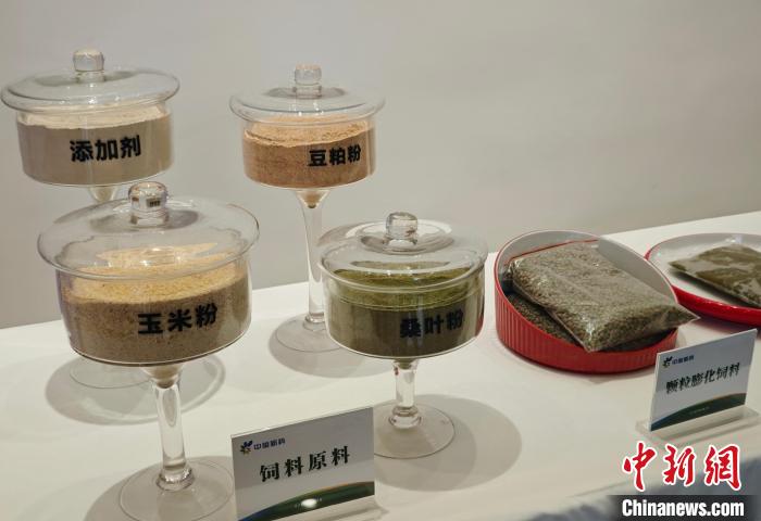 （高质量发展调研行）湖南长沙：工厂化养蚕如何让传统桑蚕产业“破茧成蝶”  -图2