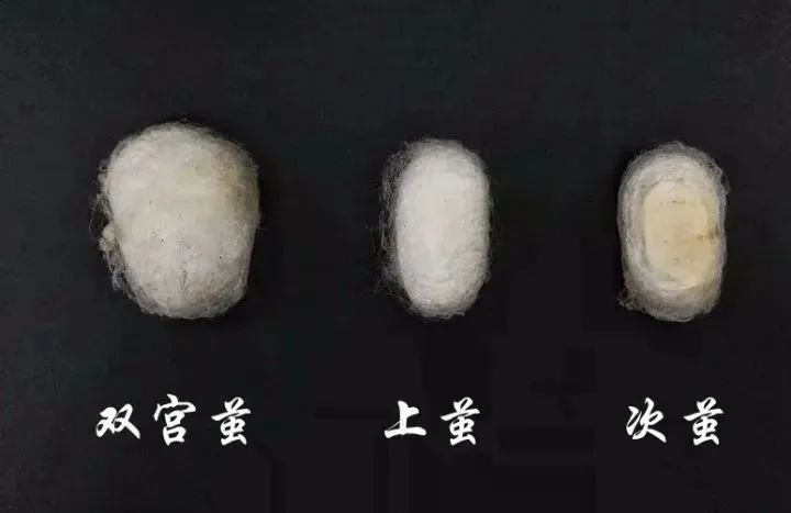 刚刚，拿下杭州手工制作大赛金奖！有人一口气买5床，老黄的共富蚕丝被，靠手艺用心拉出来，冬日正走俏  -图19